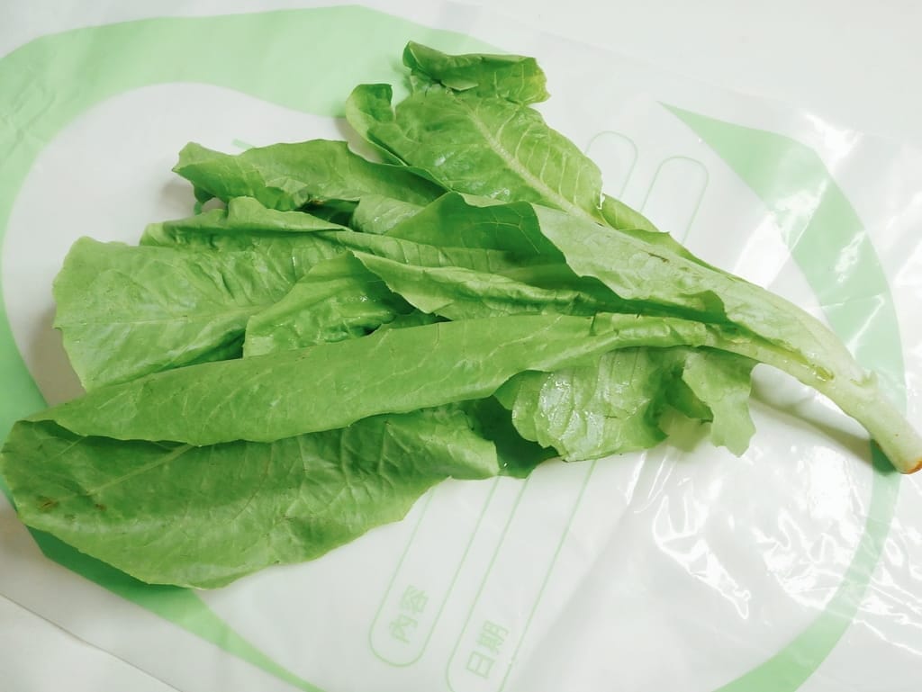|蔬果保鮮袋推薦|鮮客Freshcan高效鎖鮮袋.鎖住新鮮水份.環保材質/安全無毒.分裝收納好方便! - 第14張圖 |蔬果保鮮袋推薦|鮮客Freshcan高效鎖鮮袋.鎖住新鮮水份.環保材質/安全無毒.分裝收納好方便!