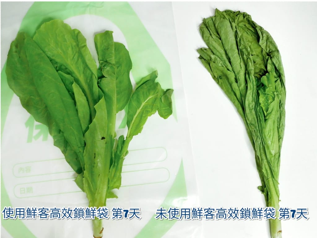 |蔬果保鮮袋推薦|鮮客Freshcan高效鎖鮮袋.鎖住新鮮水份.環保材質/安全無毒.分裝收納好方便! - 第15張圖 |蔬果保鮮袋推薦|鮮客Freshcan高效鎖鮮袋.鎖住新鮮水份.環保材質/安全無毒.分裝收納好方便!