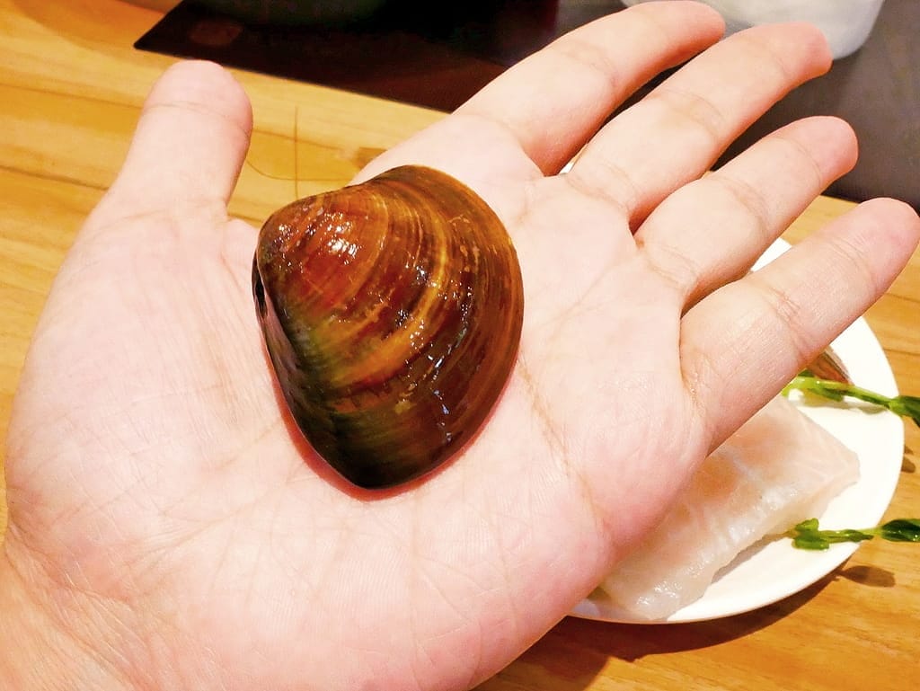 |土城火鍋吃到飽|好食鍋吃到飽涮涮鍋 土城旗艦店.299起火鍋吃到飽,振興5倍劵 好康加碼活動.優選高級肉品/火鍋料.無限自助吧 - 第25張圖 |土城火鍋吃到飽|好食鍋吃到飽涮涮鍋 土城旗艦店.299起火鍋吃到飽,振興5倍劵 好康加碼活動.優選高級肉品/火鍋料.無限自助吧