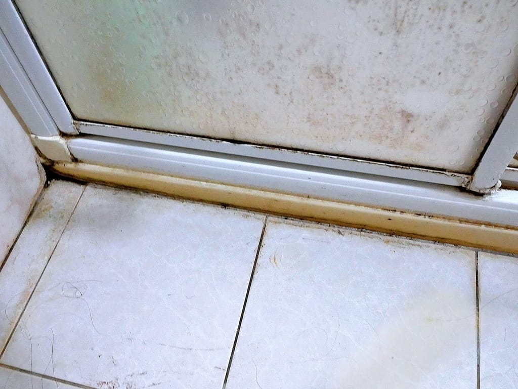 | 居家清潔 | 有樂紛 第⼆代電動清潔刷EUL-ES002 .全機防水.大掃除必備好物.刷洗衛浴好幫手! - 第27張圖 | 居家清潔 | 有樂紛 第⼆代電動清潔刷EUL-ES002 .全機防水.大掃除必備好物.刷洗衛浴好幫手!
