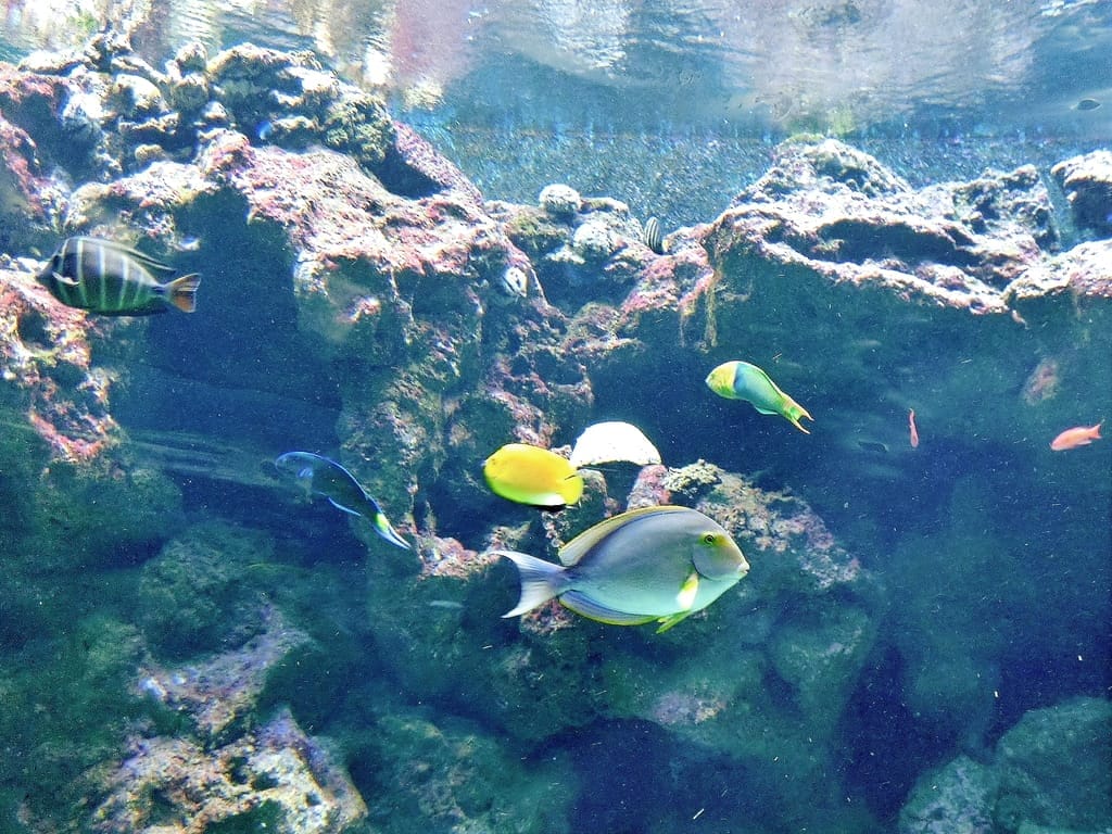 |桃園必玩推薦|桃園青埔 Xpark.IKEA.華泰名品城一日遊.振興五倍劵消費.豐富美食購物行程 - 第10張圖 |桃園必玩推薦|桃園青埔 Xpark.IKEA.華泰名品城一日遊.振興五倍劵消費.豐富美食購物行程
