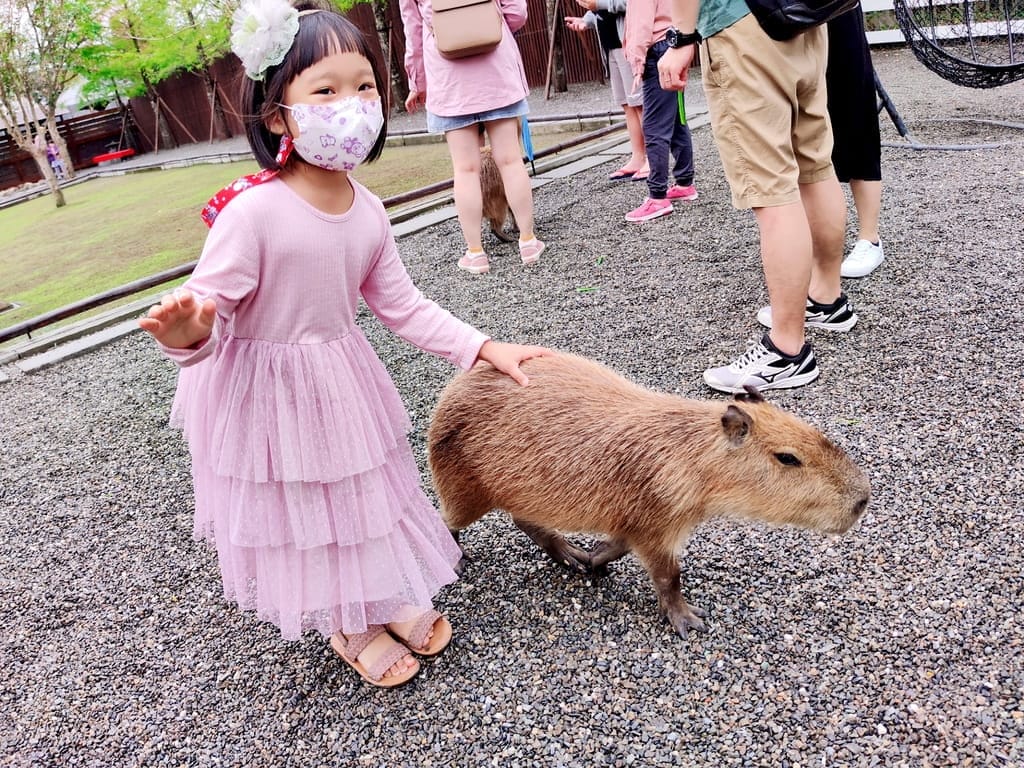 | 寵物友善住宿| 宜蘭羅東 好民宿,鄰近羅東市區,包棟民宿,親子住宿推薦,房間寬敞舒適! - 第2張圖 | 寵物友善住宿| 宜蘭羅東 好民宿,鄰近羅東市區,包棟民宿,親子住宿推薦,房間寬敞舒適!