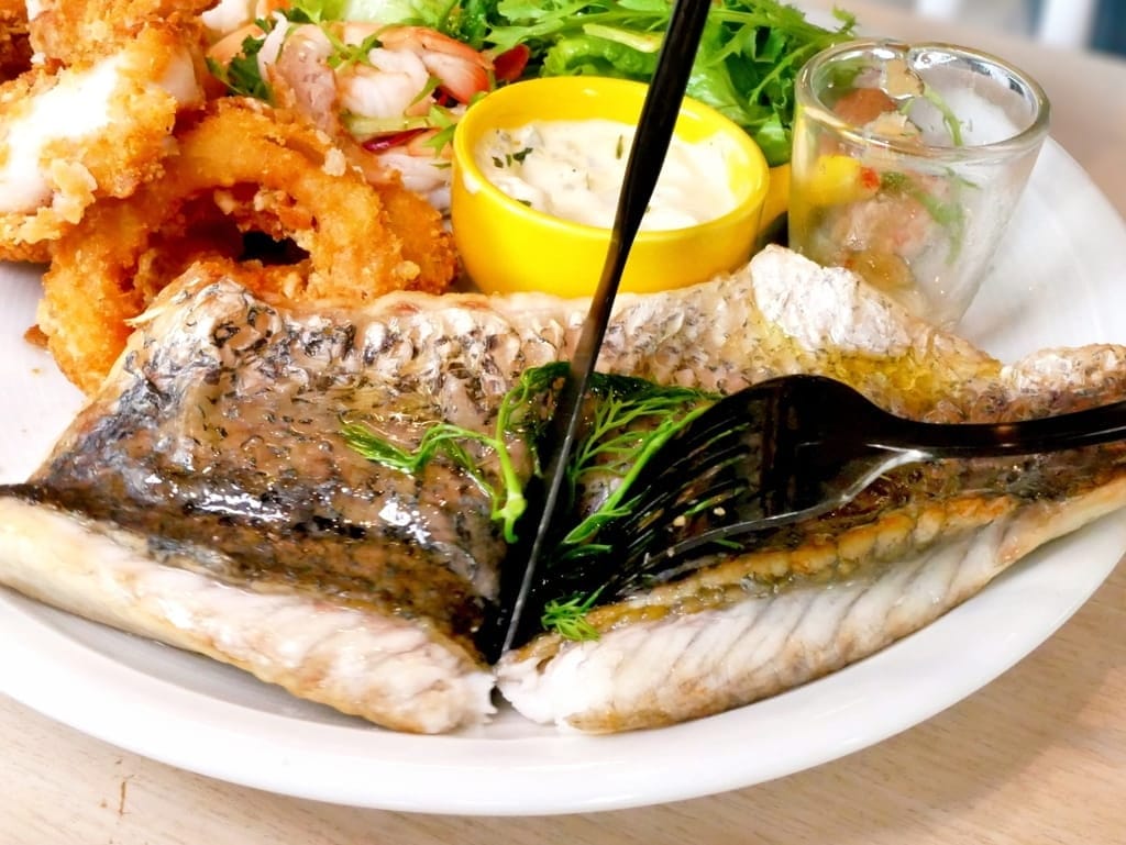 ｜西門町咖啡廳｜樂野食，悠閒享用早午餐/下午茶．親子寵物友善餐廳推薦．附設兒童遊戲區