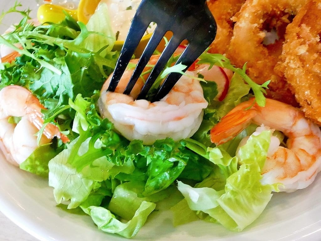 ｜西門町咖啡廳｜樂野食，悠閒享用早午餐/下午茶．親子寵物友善餐廳推薦．附設兒童遊戲區