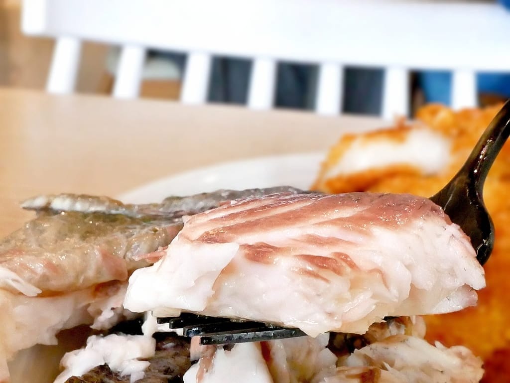 ｜西門町咖啡廳｜樂野食，悠閒享用早午餐/下午茶．親子寵物友善餐廳推薦．附設兒童遊戲區