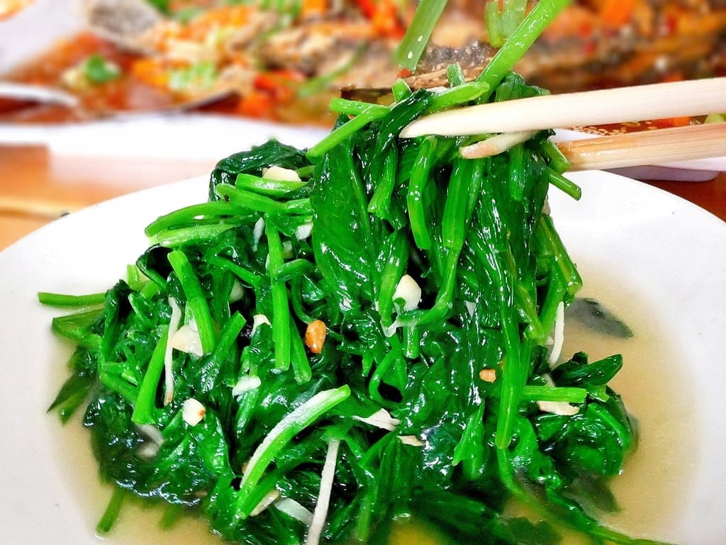 |桃園親子遊|龍潭大自然生態釣魚池.戶外桃源釣魚趣~親子/家庭/情侶旅遊~輕鬆成為小釣手! - 第35張圖 |桃園親子遊|龍潭大自然生態釣魚池.戶外桃源釣魚趣~親子/家庭/情侶旅遊~輕鬆成為小釣手!