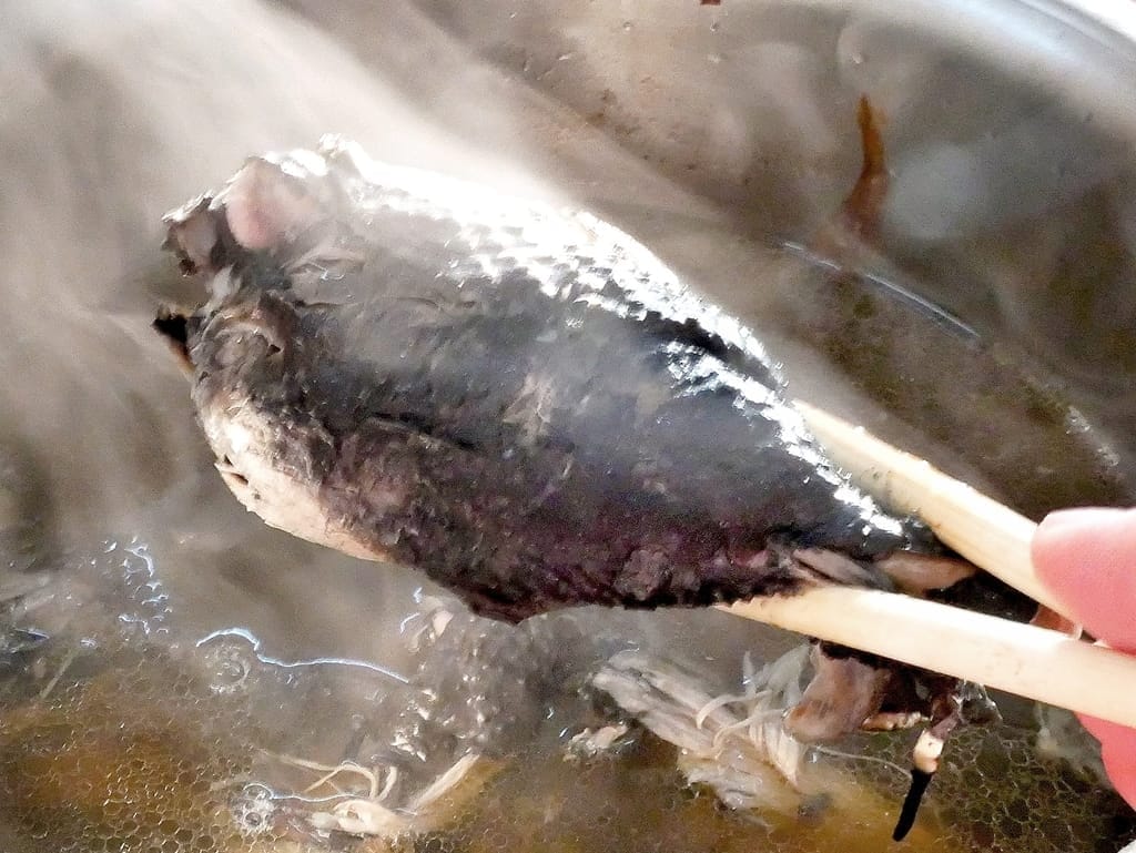 |桃園親子遊|龍潭大自然生態釣魚池.戶外桃源釣魚趣~親子/家庭/情侶旅遊~輕鬆成為小釣手! - 第45張圖 |桃園親子遊|龍潭大自然生態釣魚池.戶外桃源釣魚趣~親子/家庭/情侶旅遊~輕鬆成為小釣手!