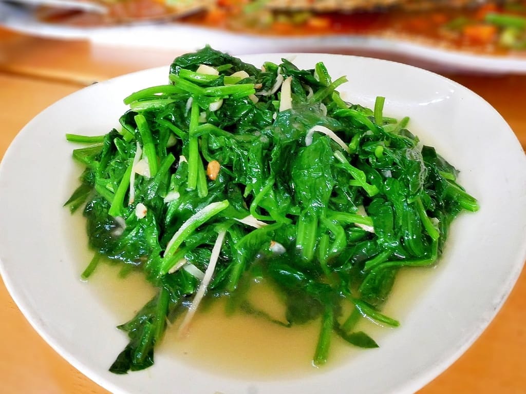 |桃園親子遊|龍潭大自然生態釣魚池.戶外桃源釣魚趣~親子/家庭/情侶旅遊~輕鬆成為小釣手! - 第34張圖 |桃園親子遊|龍潭大自然生態釣魚池.戶外桃源釣魚趣~親子/家庭/情侶旅遊~輕鬆成為小釣手!