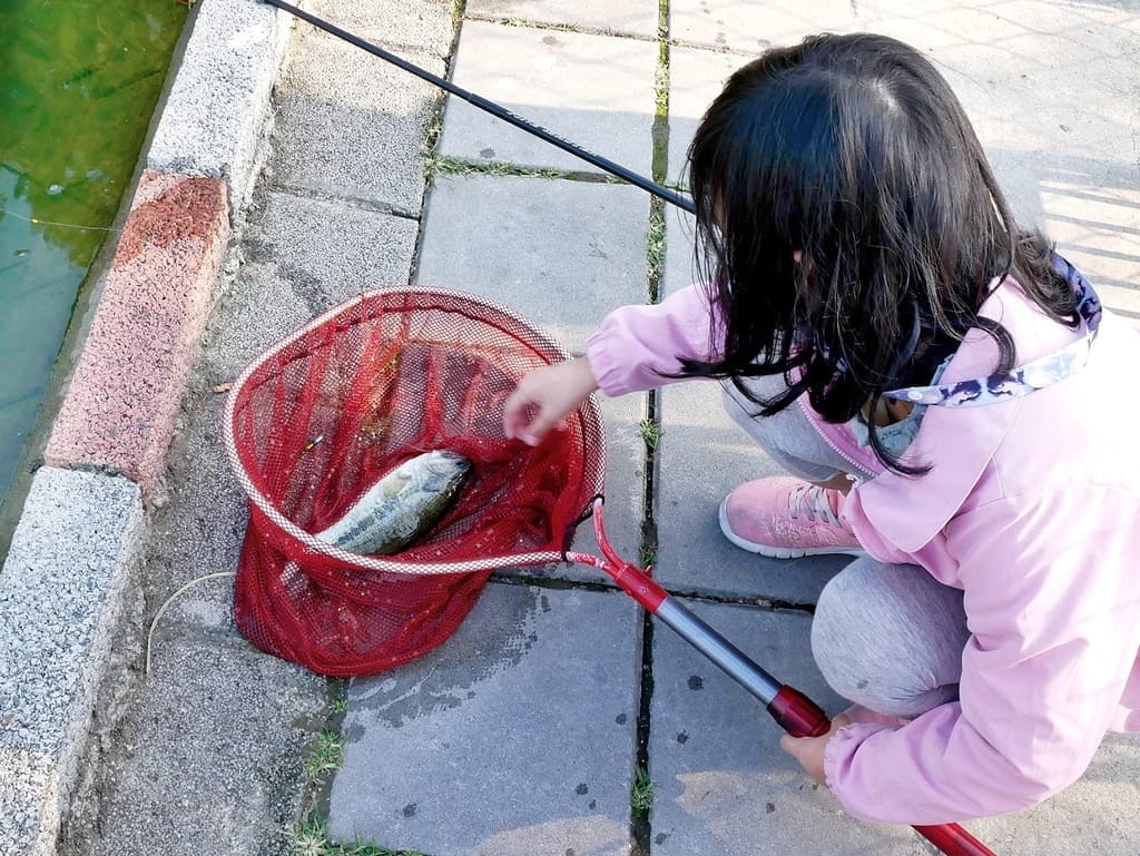 |桃園親子遊|龍潭大自然生態釣魚池.戶外桃源釣魚趣~親子/家庭/情侶旅遊~輕鬆成為小釣手! - 第27張圖 |桃園親子遊|龍潭大自然生態釣魚池.戶外桃源釣魚趣~親子/家庭/情侶旅遊~輕鬆成為小釣手!