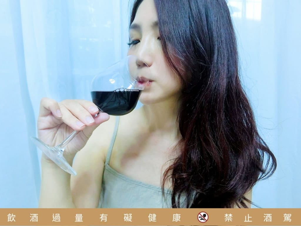 |好喝平價葡萄酒|智利卡門酒莊 勳章系列-卡門妮爾.厚實的葡萄香氣.打造周末微醺的幸福感 - 第16張圖 |好喝平價葡萄酒|智利卡門酒莊 勳章系列-卡門妮爾.厚實的葡萄香氣.打造周末微醺的幸福感