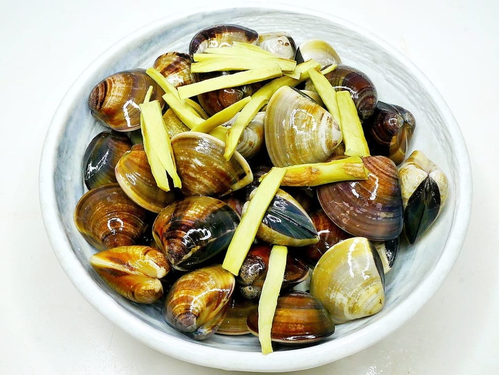 ｜ 家中必備醬料推薦｜宮崎黑蒜頭美味調味醬-蒜頭風味．宮崎黑蒜頭美味調味醬-黑芝麻風味，餐桌上少不了它，家庭主婦推薦必買，快速製作美味料理！