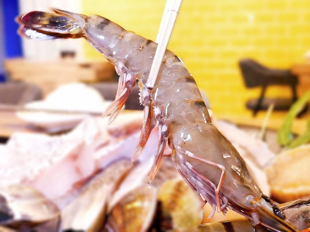 | 中和火鍋 | 燙燙極緻涮涮鍋 中和店,肉食控必朝聖,爽吃肉片,鮮美海鮮,CP值超高火鍋店推薦! - 第35張圖 | 中和火鍋 | 燙燙極緻涮涮鍋 中和店,肉食控必朝聖,爽吃肉片,鮮美海鮮,CP值超高火鍋店推薦!