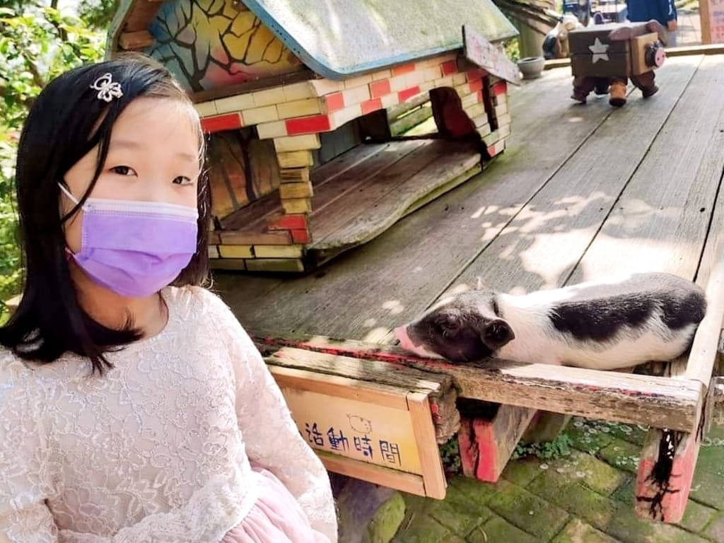 |健康食品|大研生醫 維生素D3膠囊.輕鬆補充陽光維他命,一天一顆活力滿點! - 第2張圖 |健康食品|大研生醫 維生素D3膠囊.輕鬆補充陽光維他命,一天一顆活力滿點!