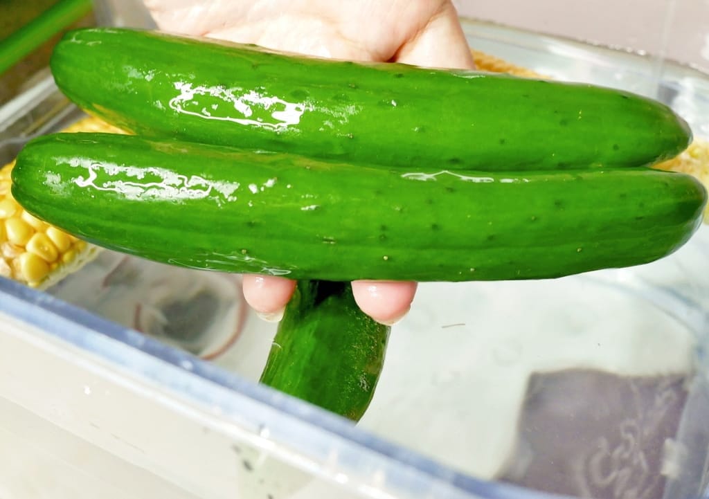 | 家電開箱 | Naughty Kid 頑皮貝貝 蔬果清洗機.活氧噴流清潔,一鍵自動清洗去除農藥/重金屬,大人小孩都可以放心享用! - 第46張圖 | 家電開箱 | Naughty Kid 頑皮貝貝 蔬果清洗機.活氧噴流清潔,一鍵自動清洗去除農藥/重金屬,大人小孩都可以放心享用!