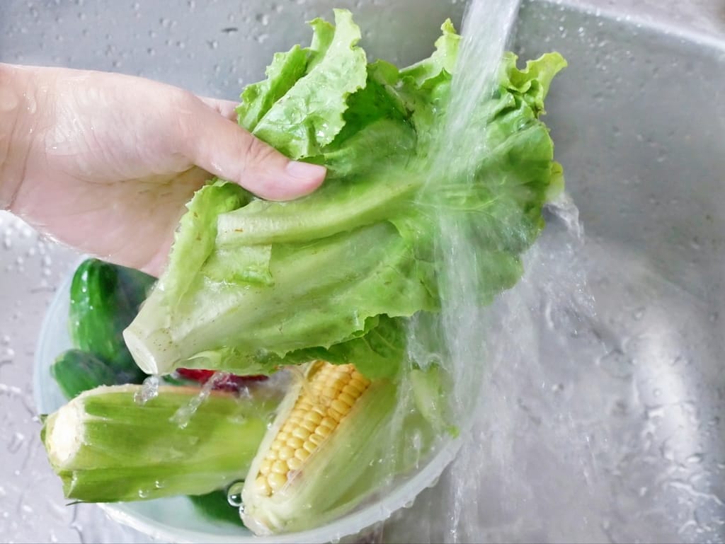 | 家電開箱 | Naughty Kid 頑皮貝貝 蔬果清洗機.活氧噴流清潔,一鍵自動清洗去除農藥/重金屬,大人小孩都可以放心享用! - 第3張圖 | 家電開箱 | Naughty Kid 頑皮貝貝 蔬果清洗機.活氧噴流清潔,一鍵自動清洗去除農藥/重金屬,大人小孩都可以放心享用!