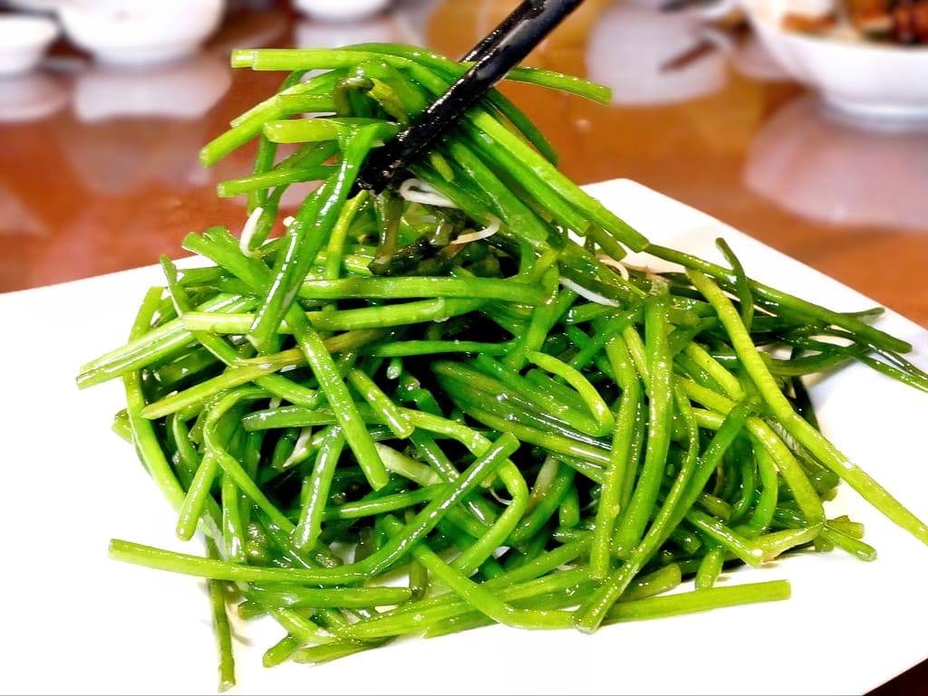 | 大安區美食餐廳 | 詠豐堂 Eihodo.蟹粉小籠包.泡椒牛肉,糖醋魚片,醃篤鮮濃湯煨麵,合菜餐廳,上海菜推薦! - 第14張圖 | 大安區美食餐廳 | 詠豐堂 Eihodo.蟹粉小籠包.泡椒牛肉,糖醋魚片,醃篤鮮濃湯煨麵,合菜餐廳,上海菜推薦!