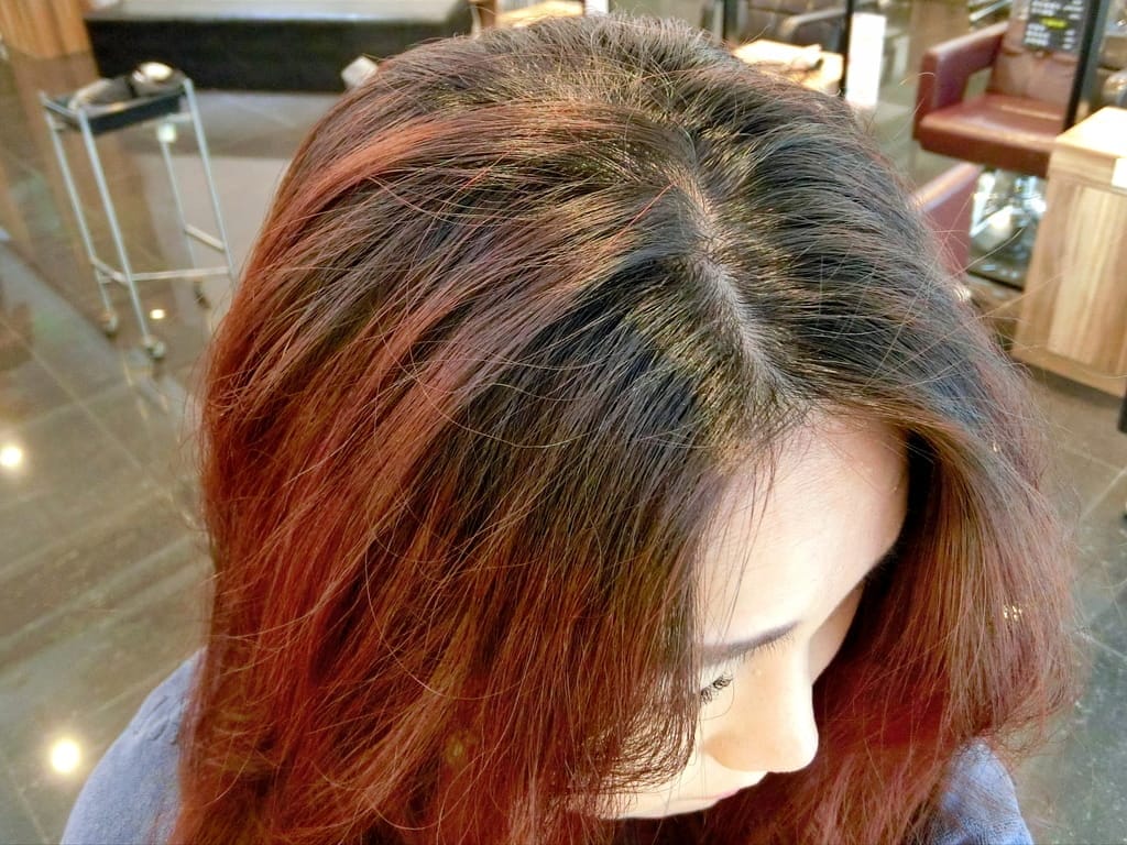 |西門染髮護髮| 禾林造型西門店,結構式護髮.髮色光澤質感大提升,6號張詩妤設計師 - 第15張圖 |西門染髮護髮| 禾林造型西門店,結構式護髮.髮色光澤質感大提升,6號張詩妤設計師