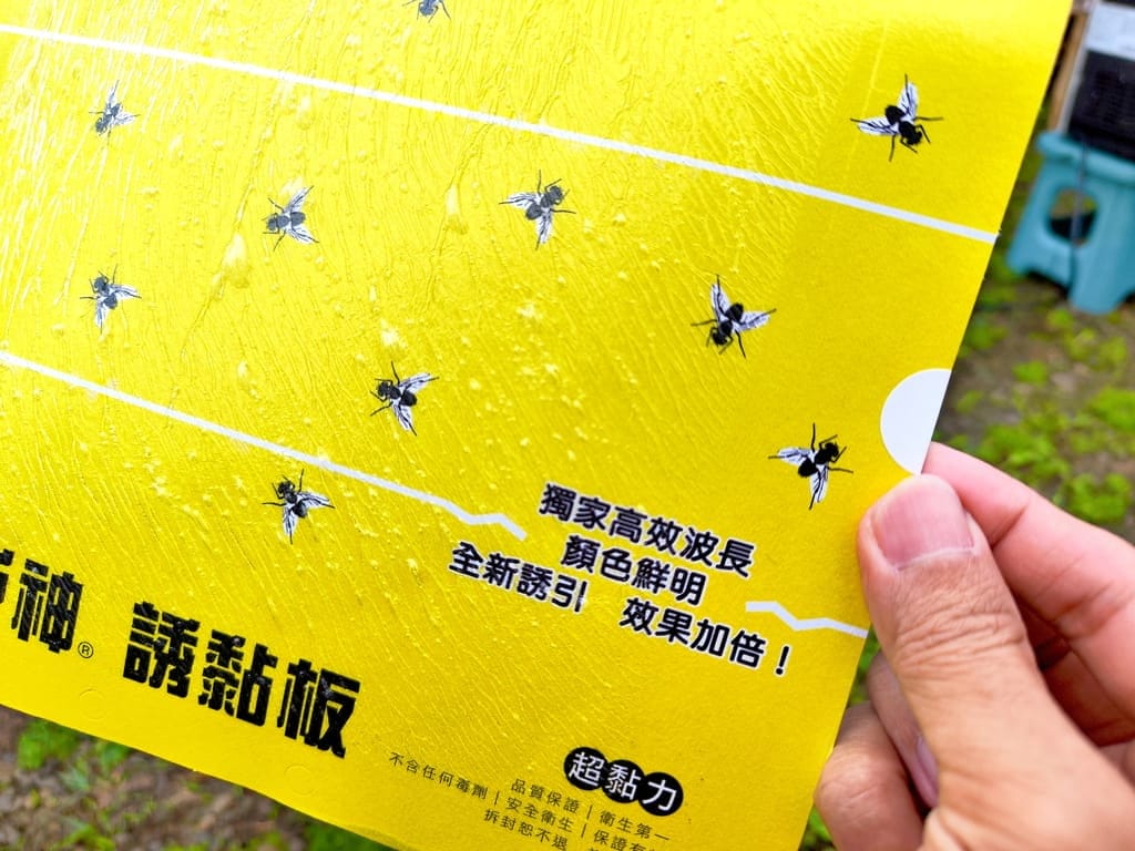 |露營必備用品|戶神厝 誘黏板,果蠅剋星,安全無毒,拒絕夏日擾人小飛蠅! - 第12張圖 |露營必備用品|戶神厝 誘黏板,果蠅剋星,安全無毒,拒絕夏日擾人小飛蠅!