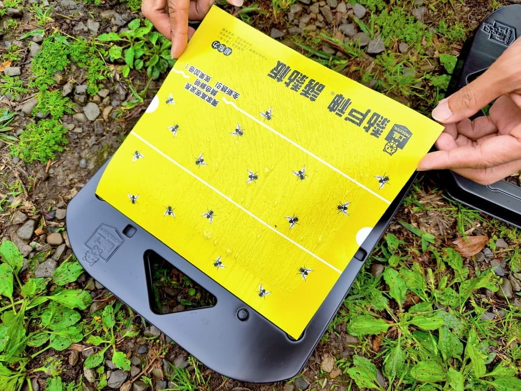 |露營必備用品|戶神厝 誘黏板,果蠅剋星,安全無毒,拒絕夏日擾人小飛蠅! - 第13張圖 |露營必備用品|戶神厝 誘黏板,果蠅剋星,安全無毒,拒絕夏日擾人小飛蠅!
