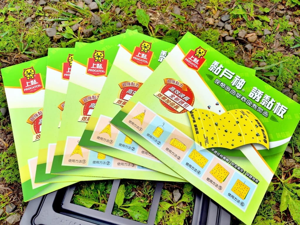 |露營必備用品|戶神厝 誘黏板,果蠅剋星,安全無毒,拒絕夏日擾人小飛蠅! - 第8張圖 |露營必備用品|戶神厝 誘黏板,果蠅剋星,安全無毒,拒絕夏日擾人小飛蠅!
