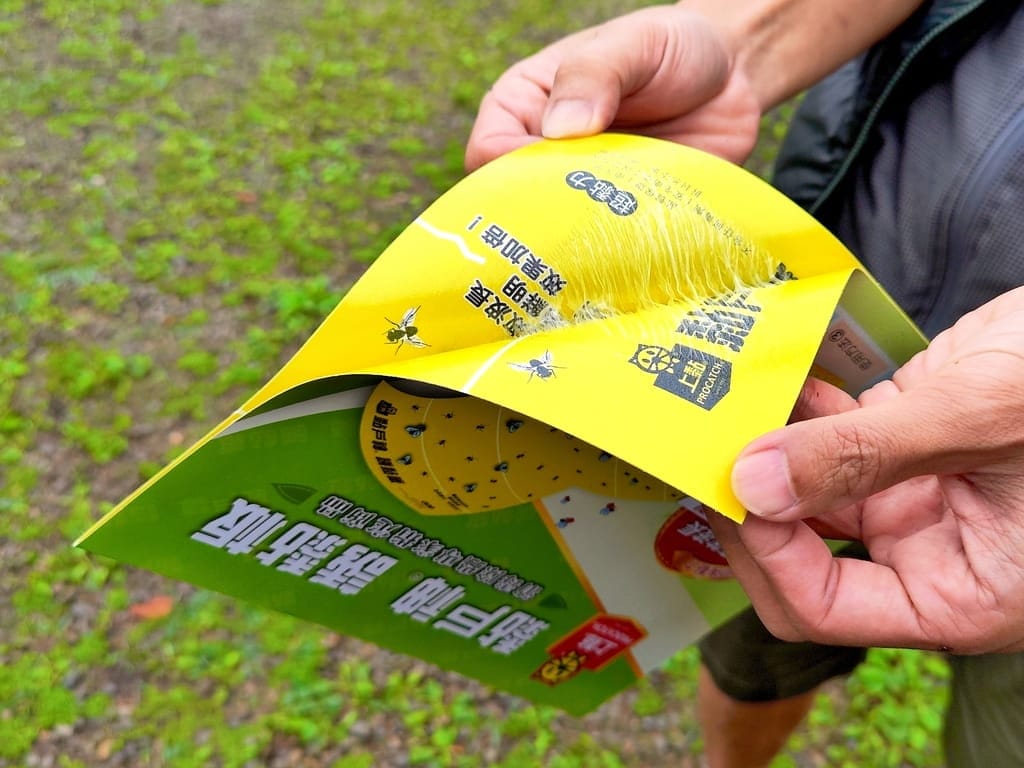|露營必備用品|戶神厝 誘黏板,果蠅剋星,安全無毒,拒絕夏日擾人小飛蠅! - 第10張圖 |露營必備用品|戶神厝 誘黏板,果蠅剋星,安全無毒,拒絕夏日擾人小飛蠅!