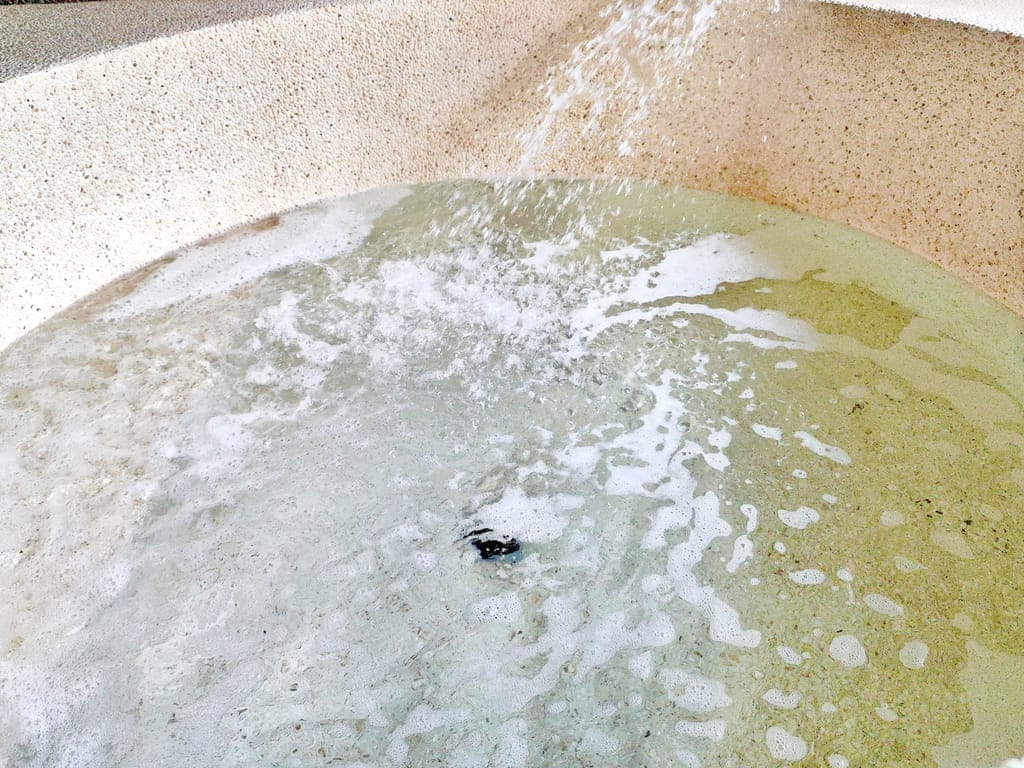 |香氛髮品推薦|Is Lounge 嗜.香氛.低調不凡保養品牌.養出清新香氣與輕盈柔順好髮質.到哪都能有SPA級享受~ - 第32張圖 |香氛髮品推薦|Is Lounge 嗜.香氛.低調不凡保養品牌.養出清新香氣與輕盈柔順好髮質.到哪都能有SPA級享受~