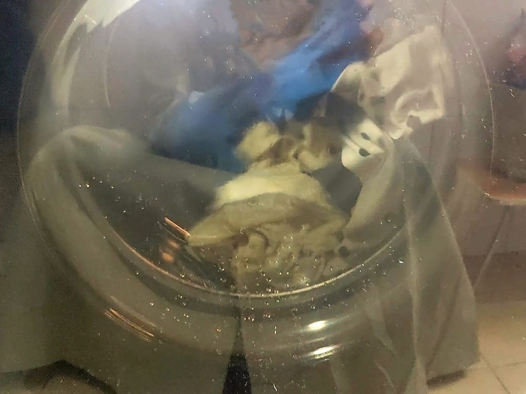 | 滾筒洗衣機推薦 | 富及第 洗劑自投蒸活氧洗脫烘變頻滾筒洗衣機.快速高除菌效能 x 烘衣又香又軟 - 第19張圖 | 滾筒洗衣機推薦 | 富及第 洗劑自投蒸活氧洗脫烘變頻滾筒洗衣機.快速高除菌效能 x 烘衣又香又軟