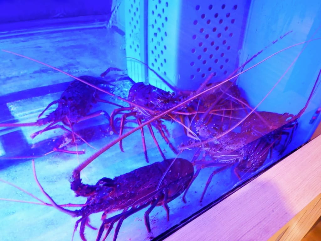 | 鐵板燒台北餐廳| 明水然.樂 信義遠百店A13店,一位難求的無菜單頂級鐵板燒,鮑魚干貝龍蝦A5和牛通通吃的到.高CP值約會餐廳首選!宵夜場獨家火熱登場.信義區宵夜首選 - 第5張圖 | 鐵板燒台北餐廳| 明水然.樂 信義遠百店A13店,一位難求的無菜單頂級鐵板燒,鮑魚干貝龍蝦A5和牛通通吃的到.高CP值約會餐廳首選!宵夜場獨家火熱登場.信義區宵夜首選