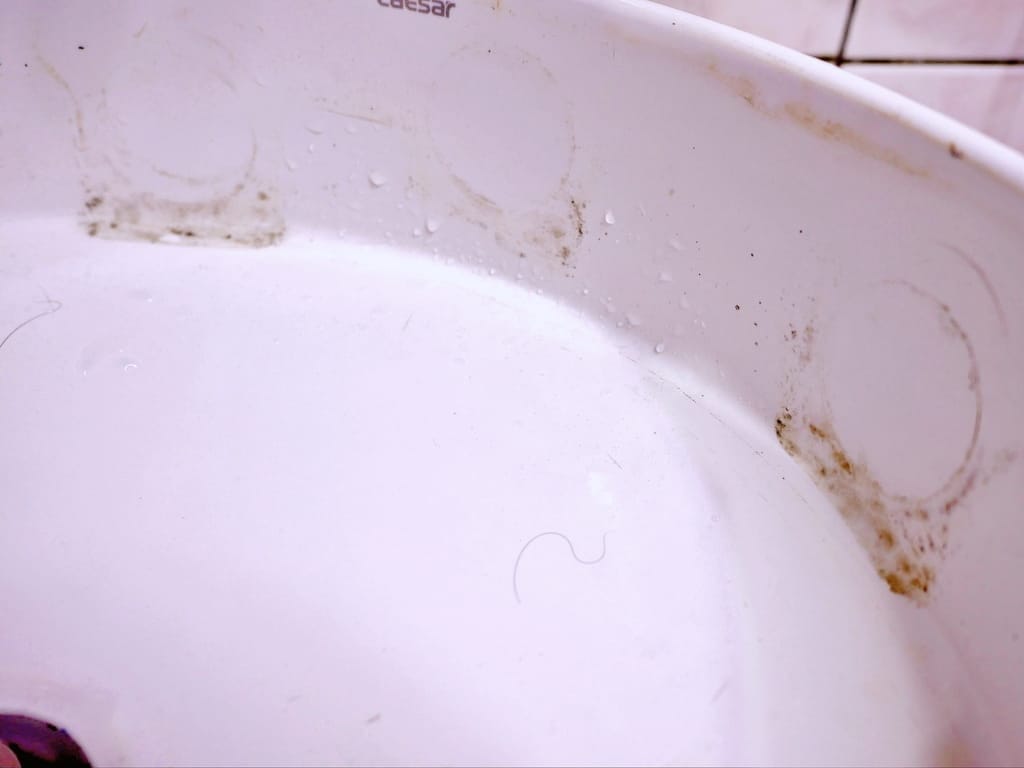 | 居家清潔去污神器|究淨宣研9CLEAN清潔組合包.一瓶輕鬆搞定油汙/髒汙.從此愛上做家事! - 第32張圖 | 居家清潔去污神器|究淨宣研9CLEAN清潔組合包.一瓶輕鬆搞定油汙/髒汙.從此愛上做家事!