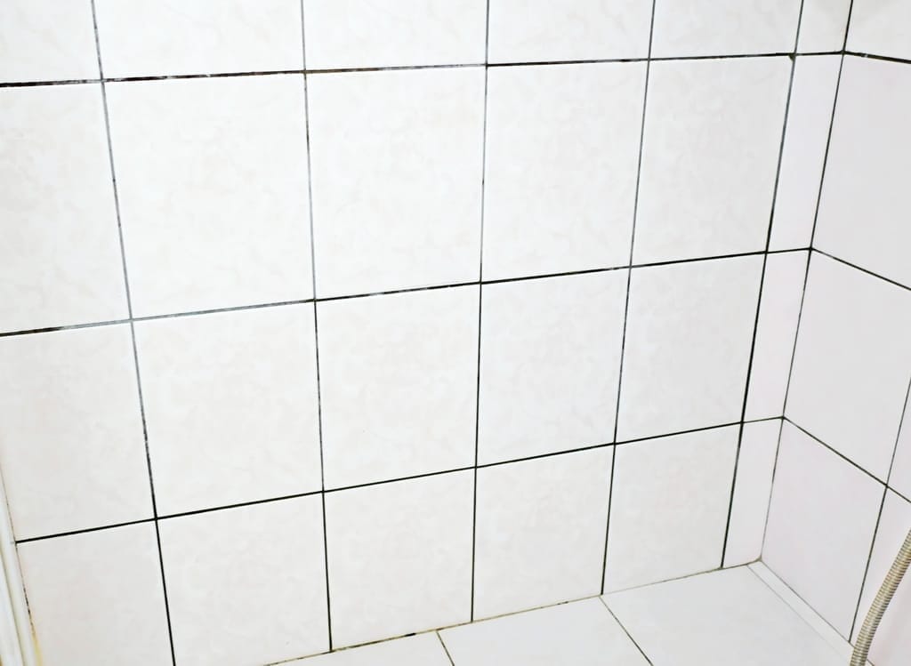 |居家清潔服務|媽咪樂居家清潔.忙碌現代人好幫手.安心省時的最佳選擇! - 第55張圖 |居家清潔服務|媽咪樂居家清潔.忙碌現代人好幫手.安心省時的最佳選擇!